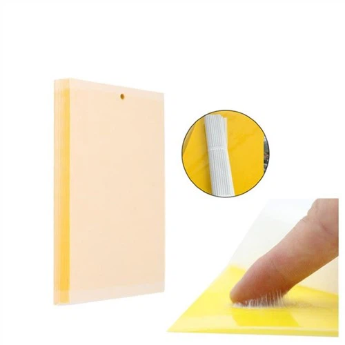 Gnat Sticky Board