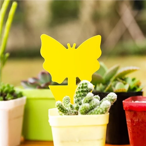 Insecten lijmval