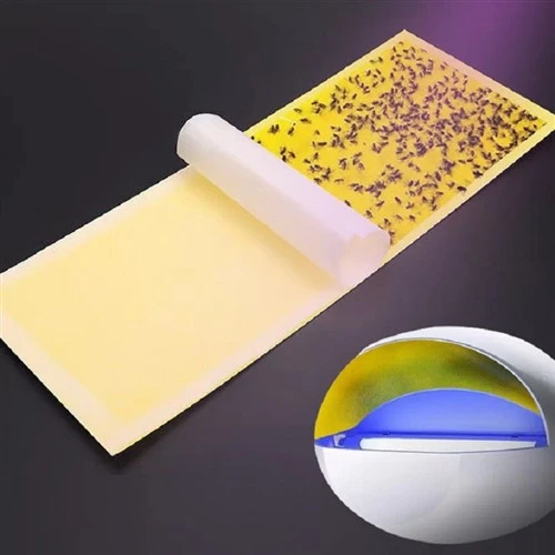 Insecten papier